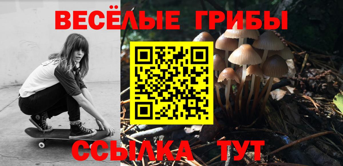 Галлюциногенные грибы MAGIC MUSHROOMS  Галлюциногенные грибы MAGIC MUSHROOMS  Клинцы  Вход с VPN 