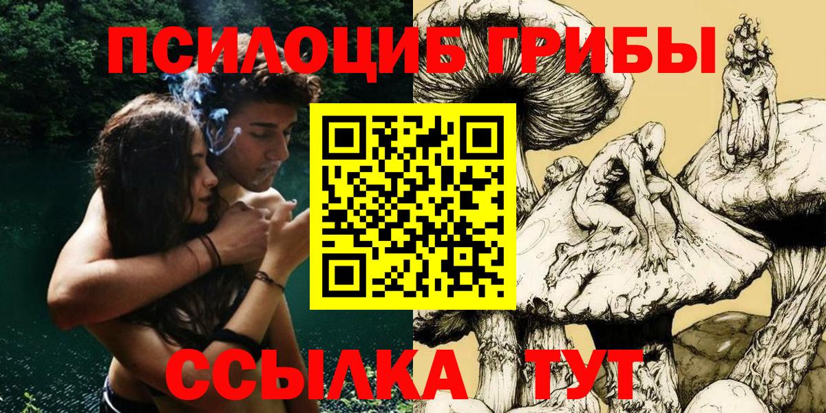 Псилоцибиновые грибы мицелий Клинцы